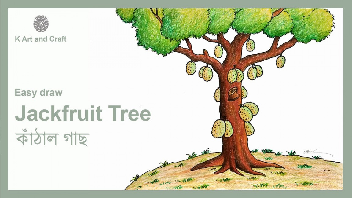 How to draw easy jackfruit tree step by step tree drawing