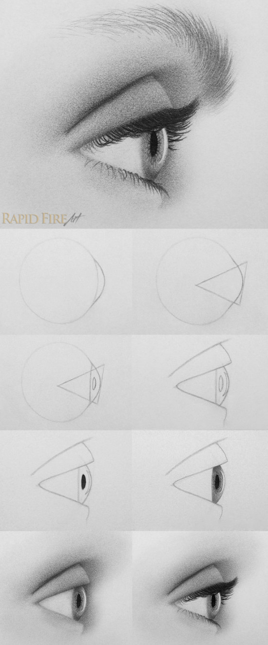 How to Draw Eyes from the Side by RapidFireArt on DeviantArt