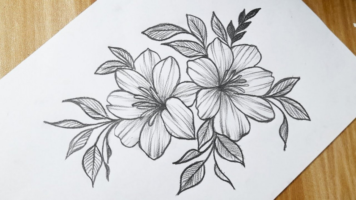 How to draw flowers easy step by step with pencil  Flower drawing tutorial