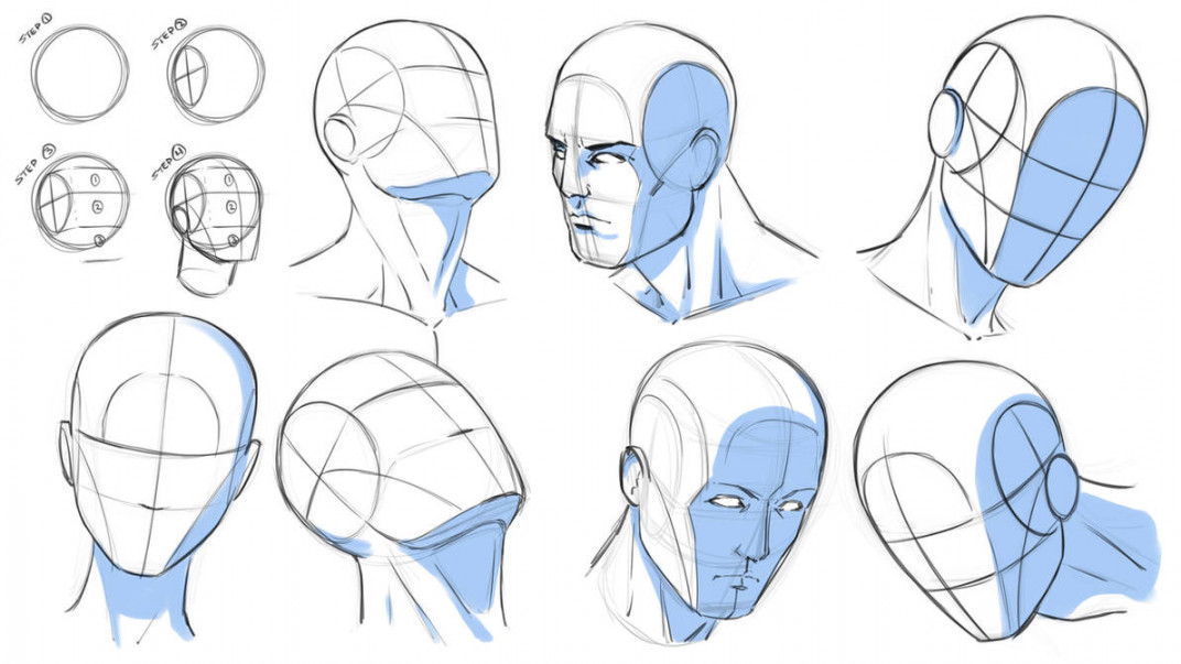 How to Draw Heads at Various Angles - Reference by robertmarzullo