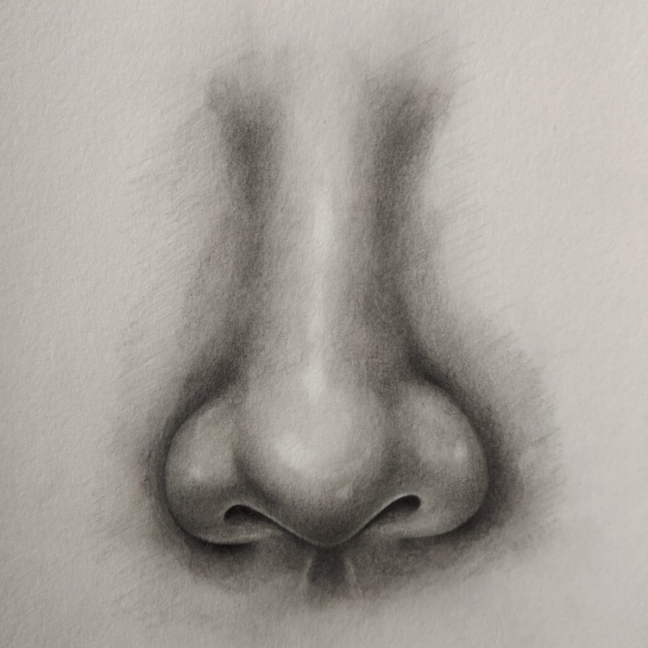 How to draw nose (front view)? - LOVARTS  Easy drawing techniques