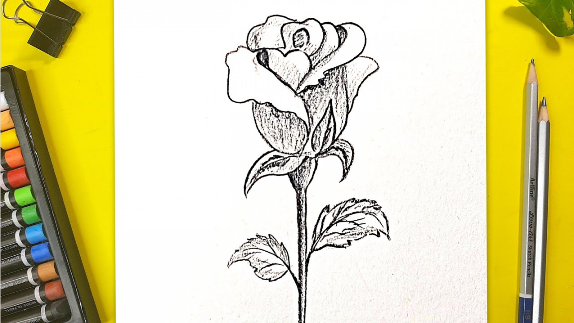 How to draw rose - Easy pencil drawing ideas / Rose drawing step by step