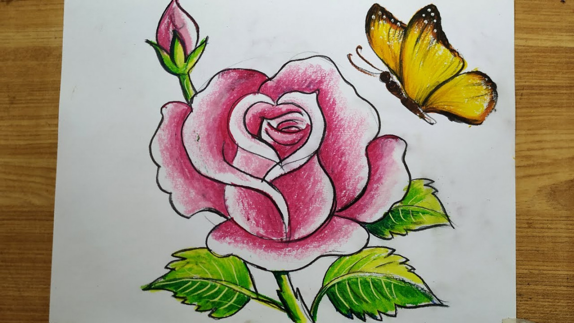 how to draw rose flower and butterfly with oil patel color,rose flower  drawing,butterfly drawing,