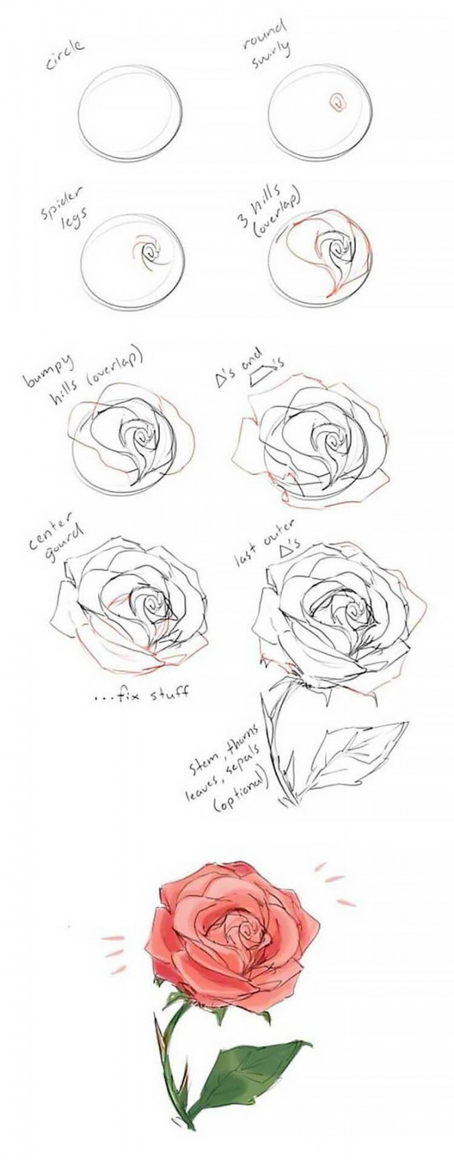 How to Draw Roses (Easy Ideas and Tutorials) - Beautiful Dawn