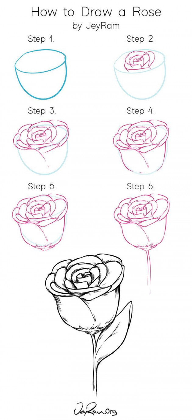 How to Draw Roses: Tutorial & Free Worksheet (Printable PDF