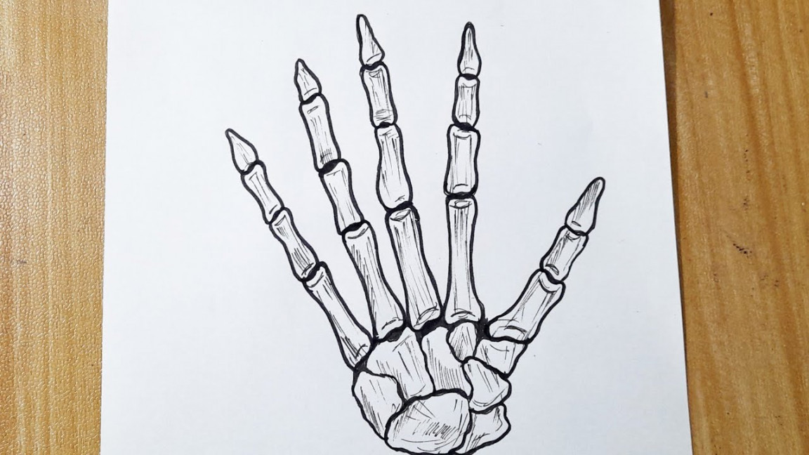 How to draw skeleton hand easy step by step  Skeleton drawing