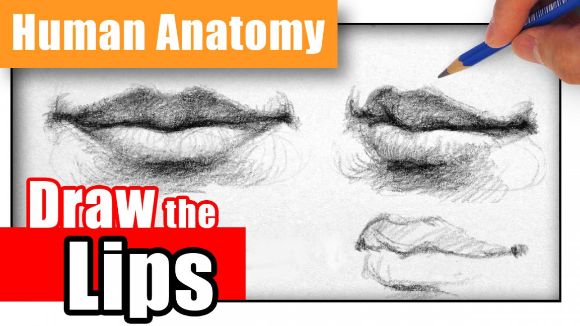 How to Draw the Lips the Easy Way - Different Angles