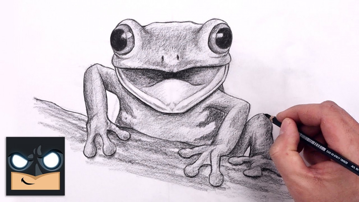 How To Draw Tree Frog  YouTube Studio Sketch Tutorial