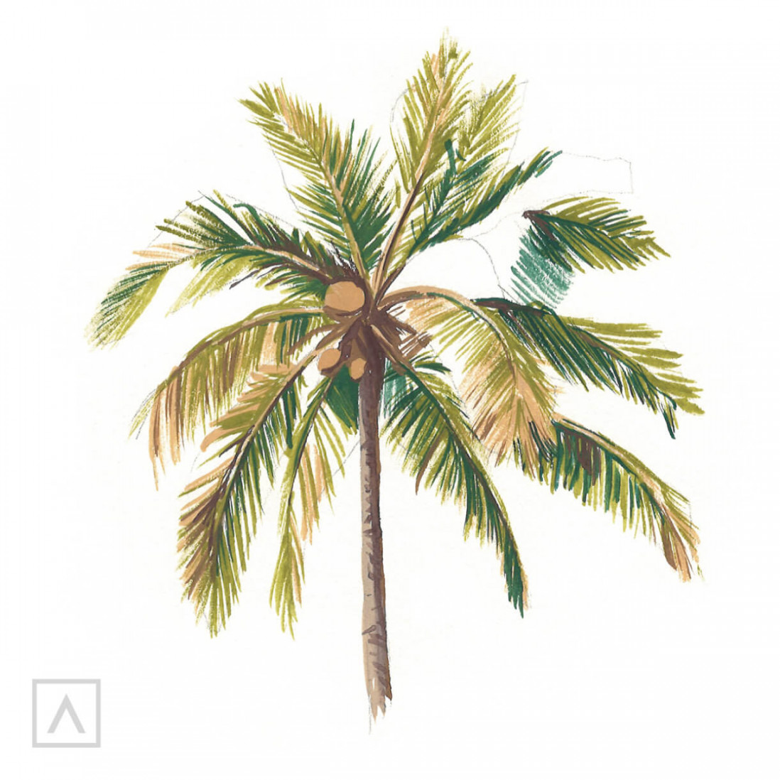 How to Paint a Palm Tree with Gouache – Arteza