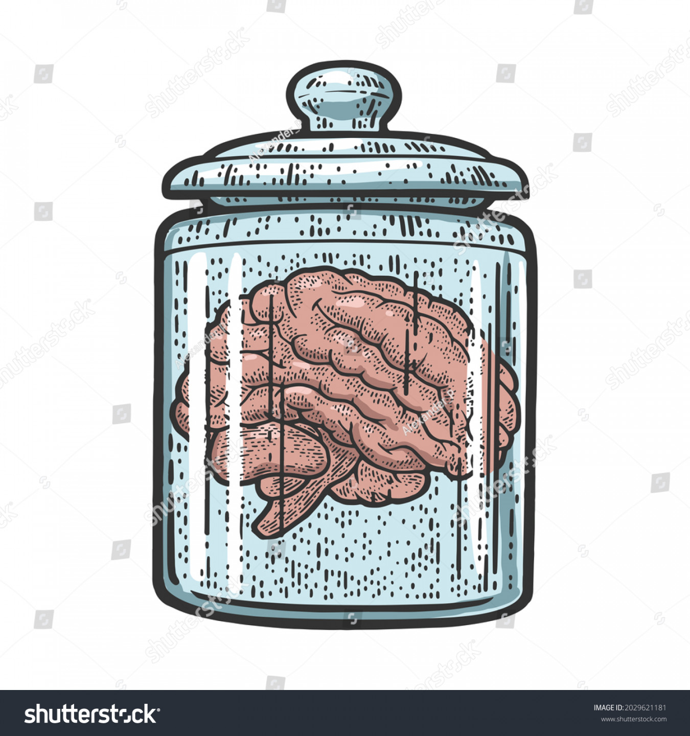 Human Brain Jar Formalin Color Sketch Stock Illustration