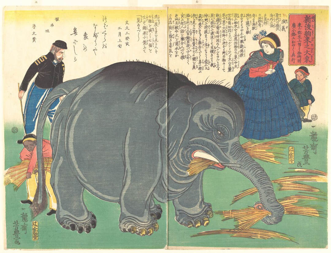 Ichiryūsai Yoshitoyo  Recently Imported Big Elephant  Japan