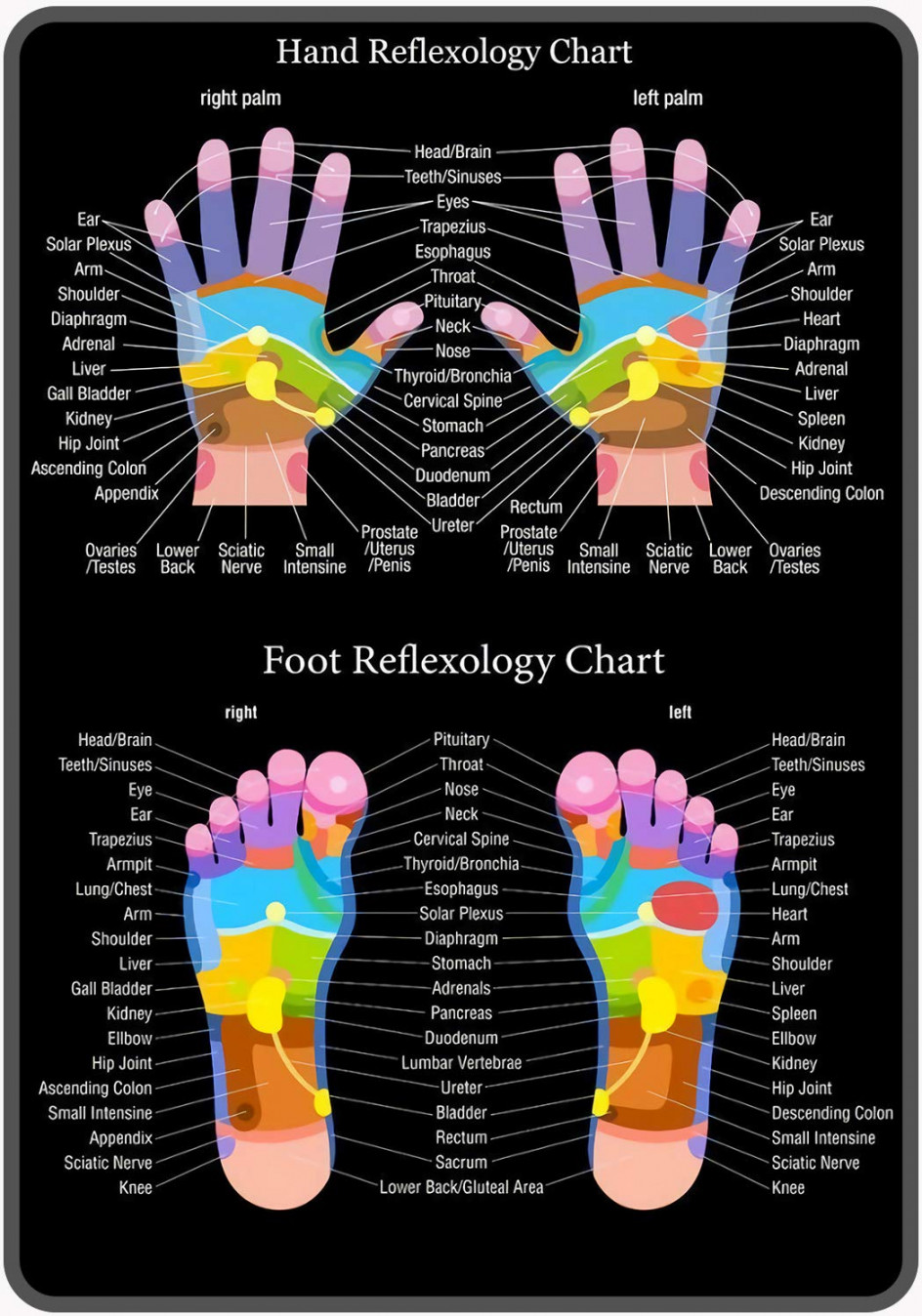 ICRAEZY Hand Reflexology Chart Metal Tin Sign x Vintage Retro