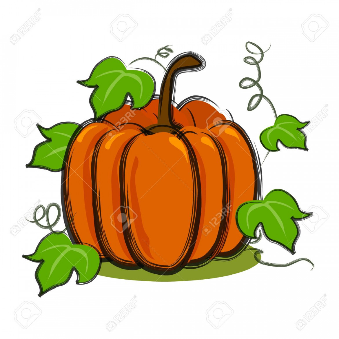 Illustration For Pumpkin With Vines In Art Brush And Isolated In