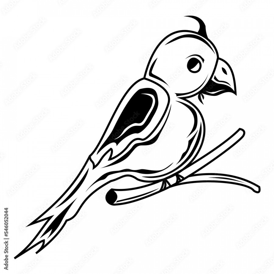 illustration of a bird, a bird drawing, bird clipart, birt artwork