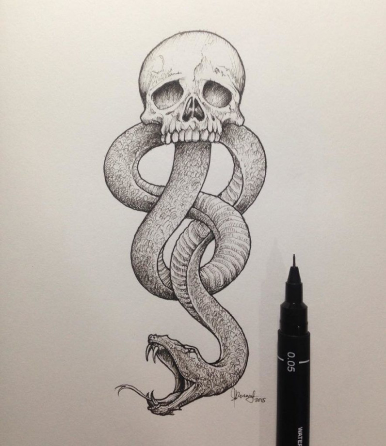 Illustrator Kerby Rosanes  Harry potter art drawings, Snake