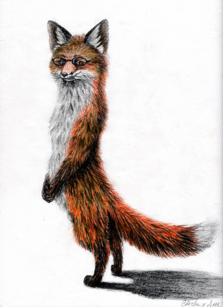 Imma Fox Standing! by coonotafoo on DeviantArt