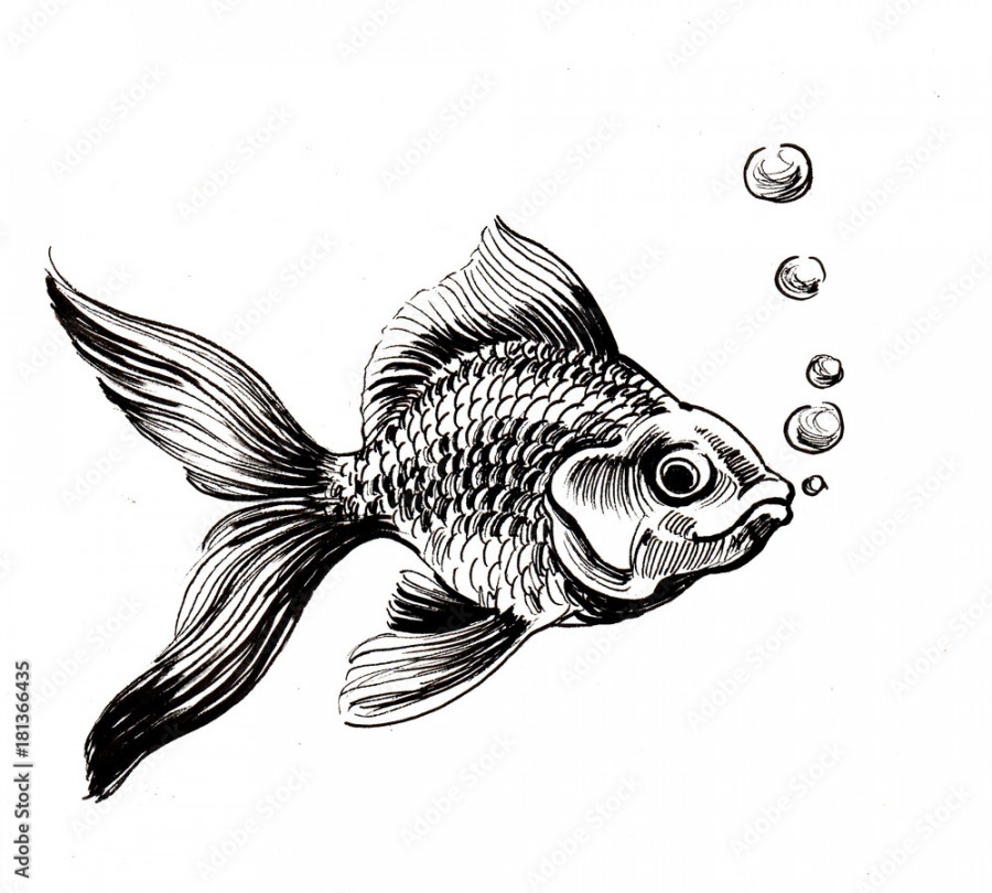 Ink black and white drawing of a gold fish Stock-Illustration