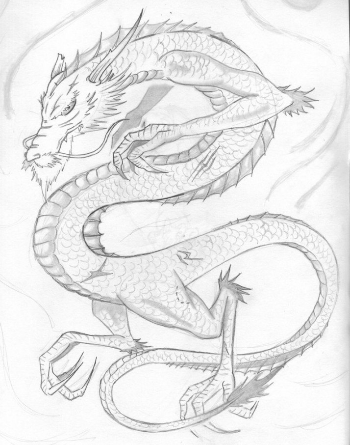 Japanese Dragon  - Japanese Dragon Sketch  Dragon sketch