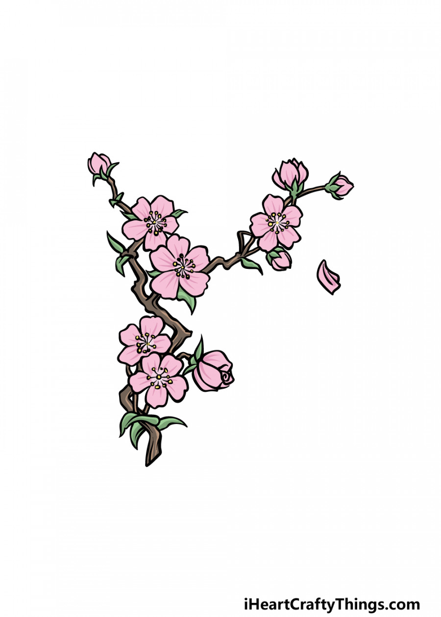 Japanese Flower Drawing - How To Draw A Japanese Flower Step By Step