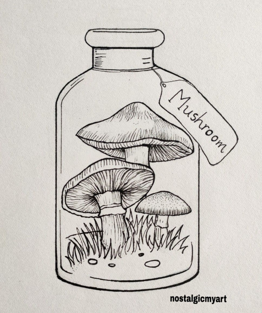 Jar of magic mushrooms  Sketch book, Art drawings simple, Line