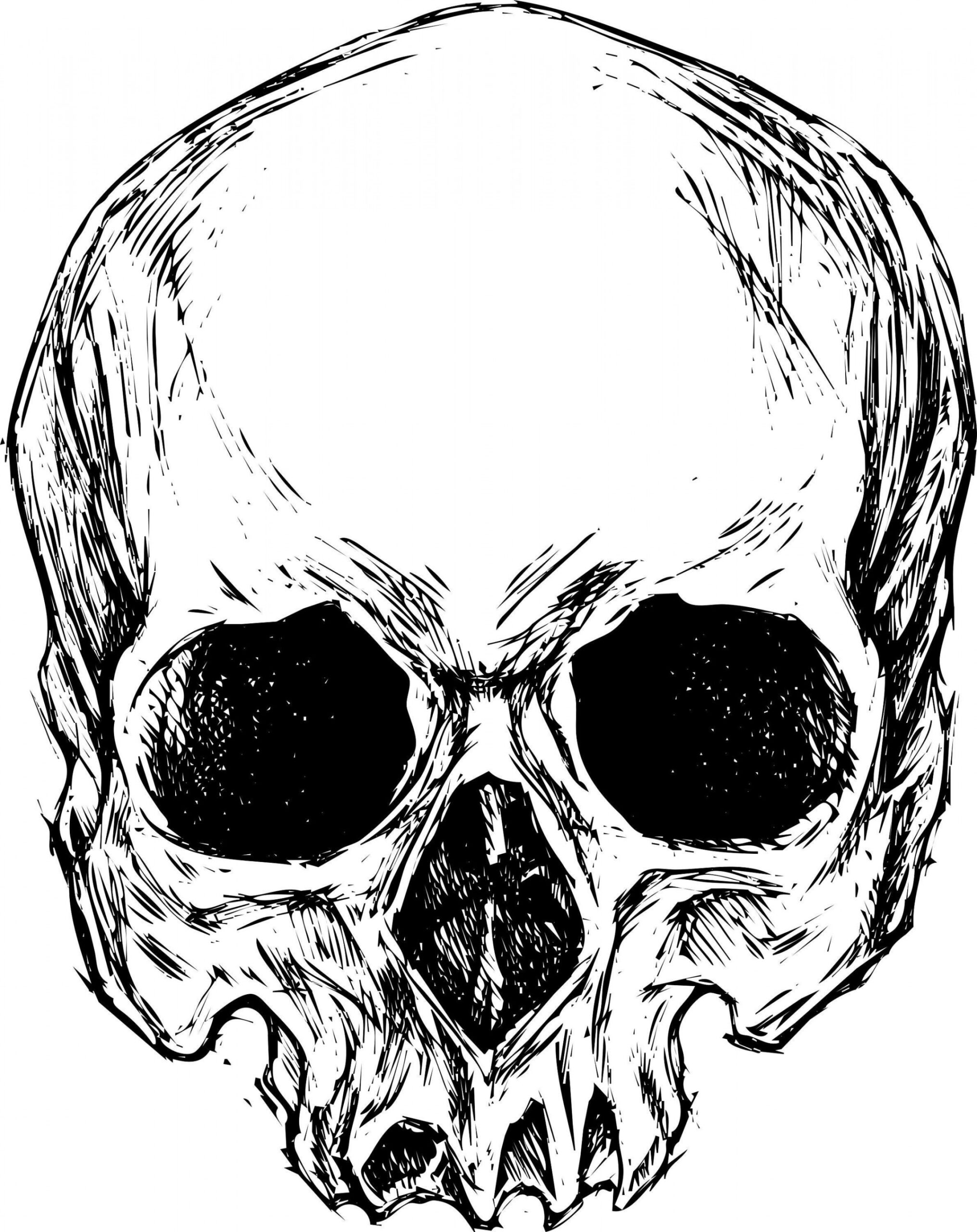 Jawless Skull High Quality Vector Art T-shirt Design - Etsy