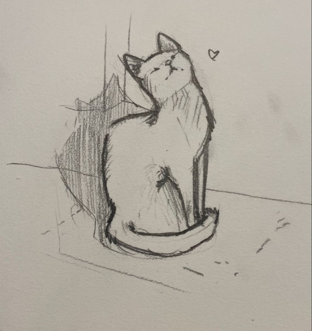 Kitty drawing  Sketches, Art tutorials drawing, Art inspiration