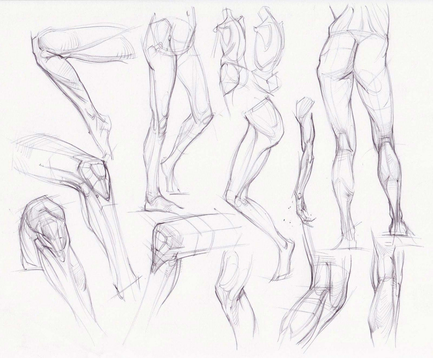 Knee drawing reference  Human anatomy drawing, Anatomy reference