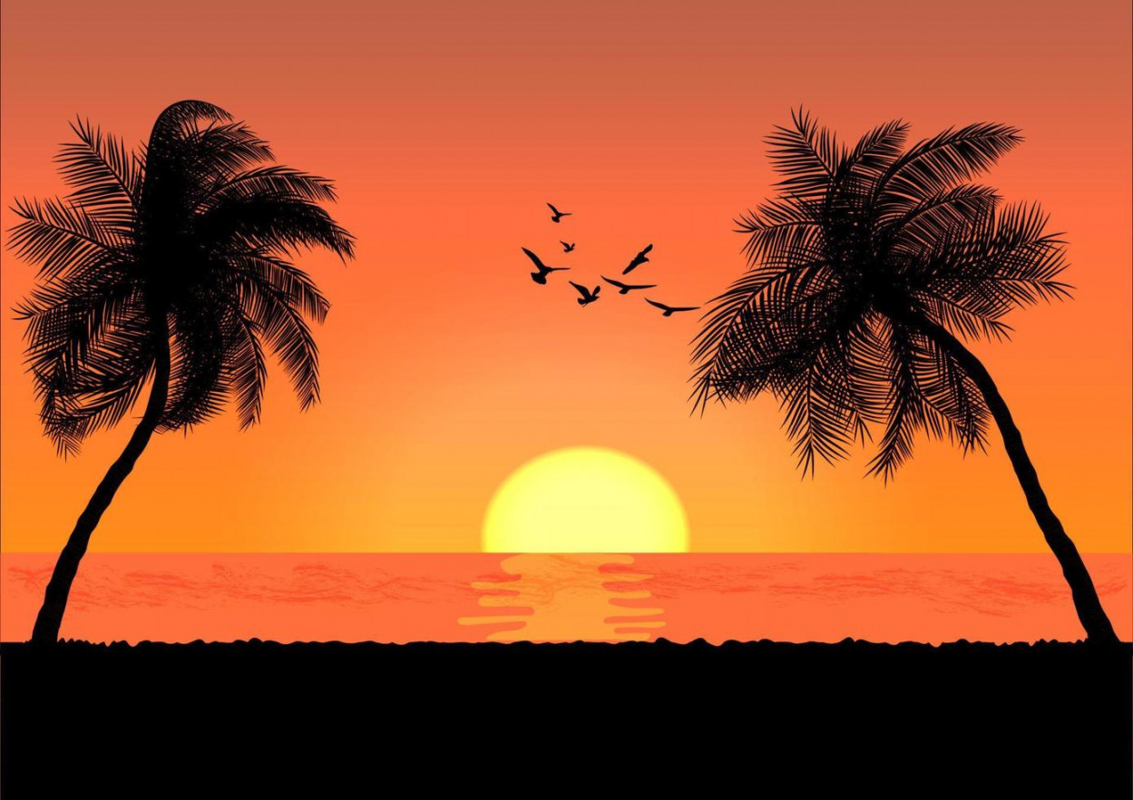 landscape view drawing palm with sunset or sunrise background