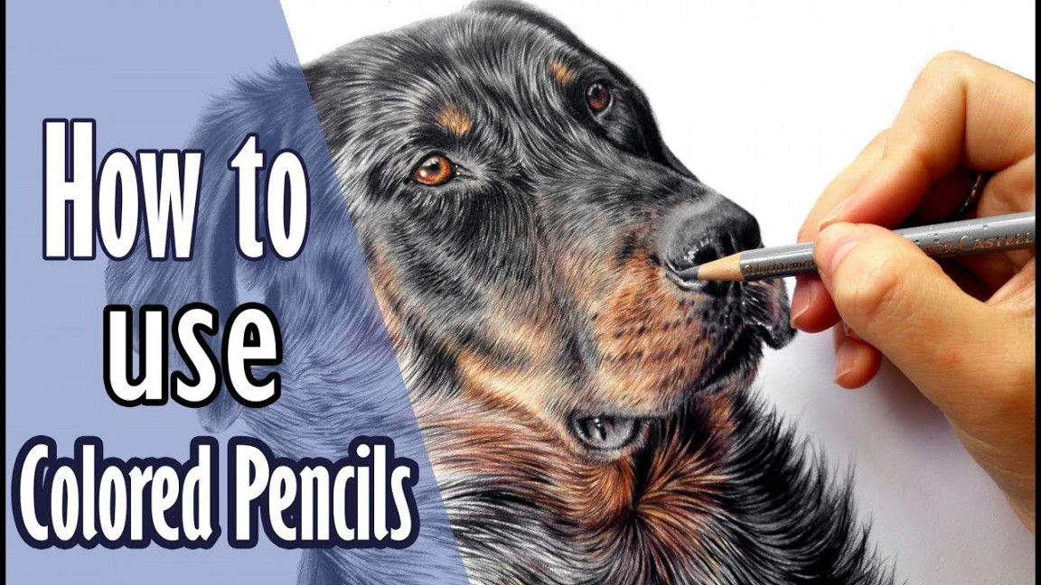 Learn my Colored Pencil Drawing Techniques! DOG FUR  Leontine van vliet