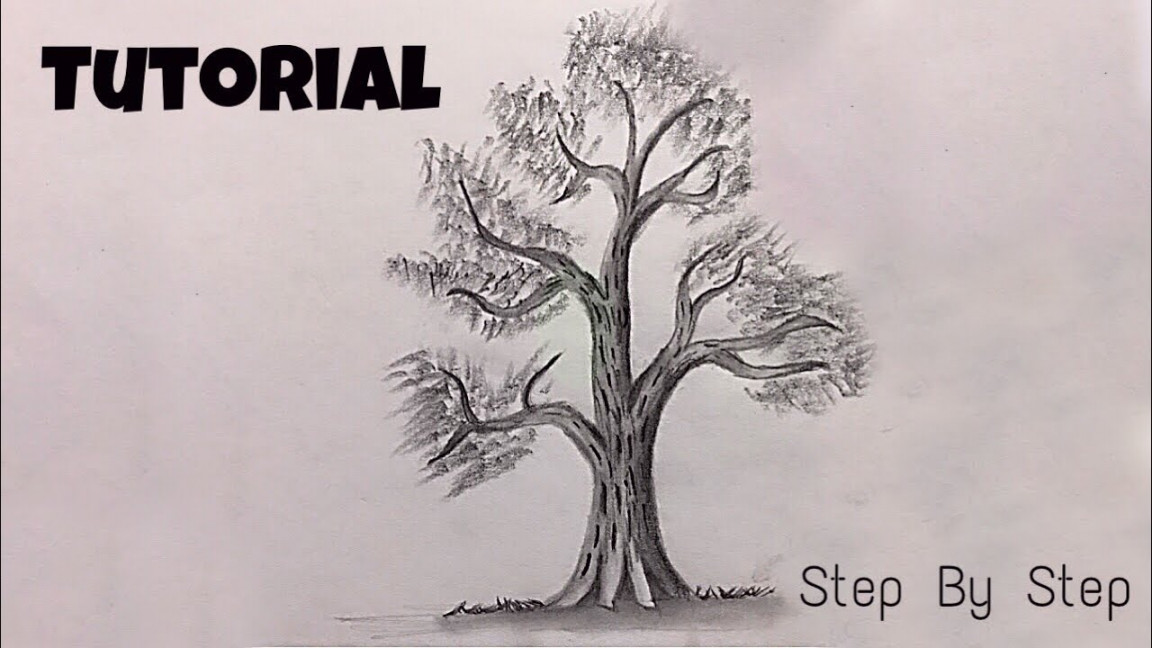 Learn To Draw A Realistic Tree Under  Minutes  Tutorial  Step By Step   Arts Core