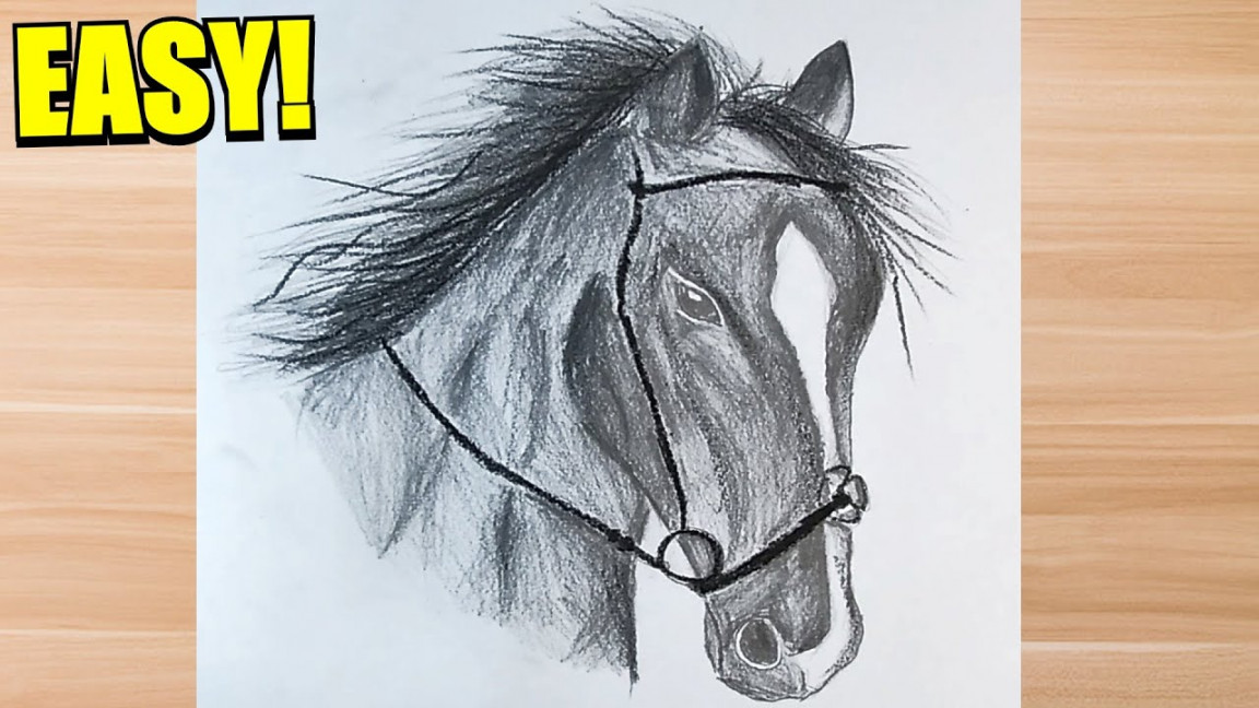 Learn to Draw Realistic HORSE Using This EASY Steps