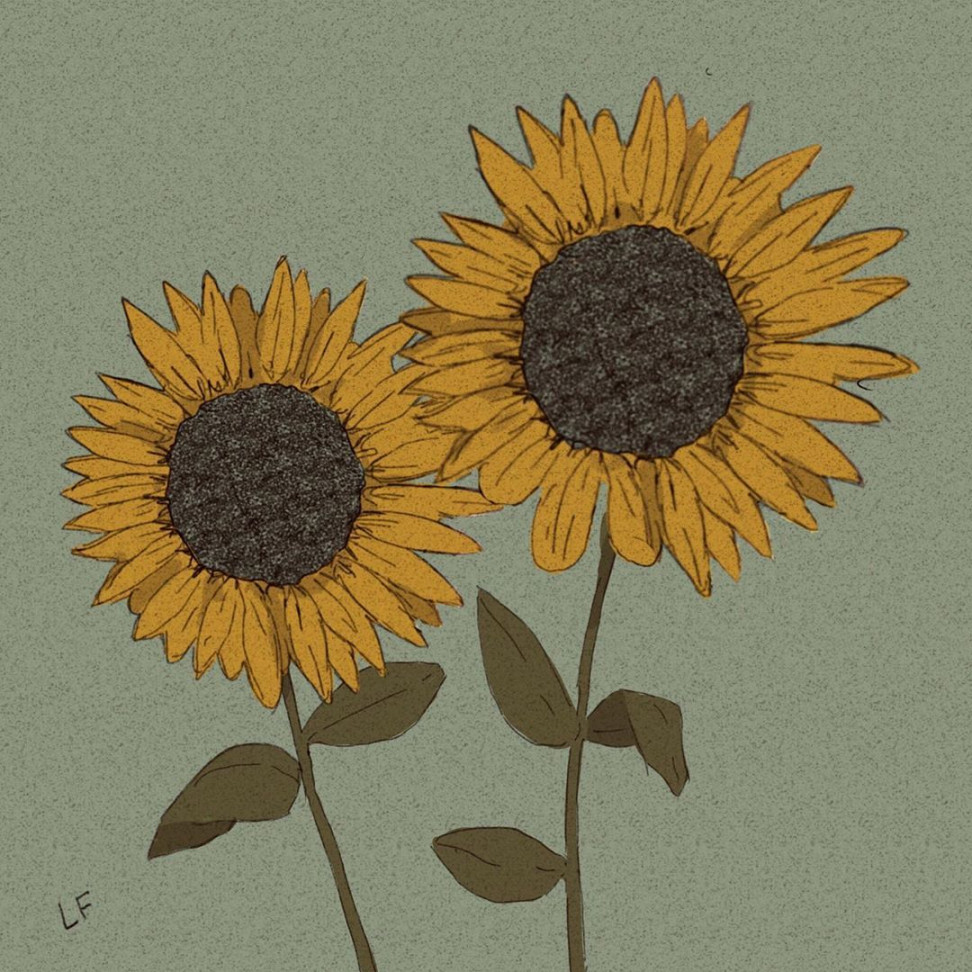 Libby Frame on Instagram: “Sunflower doods . . . .