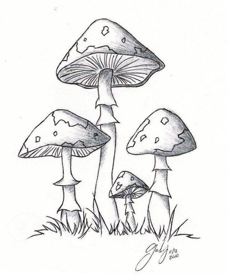 lil  lil  lil mushrooms  Mushroom drawing, Drawings, Mushroom art