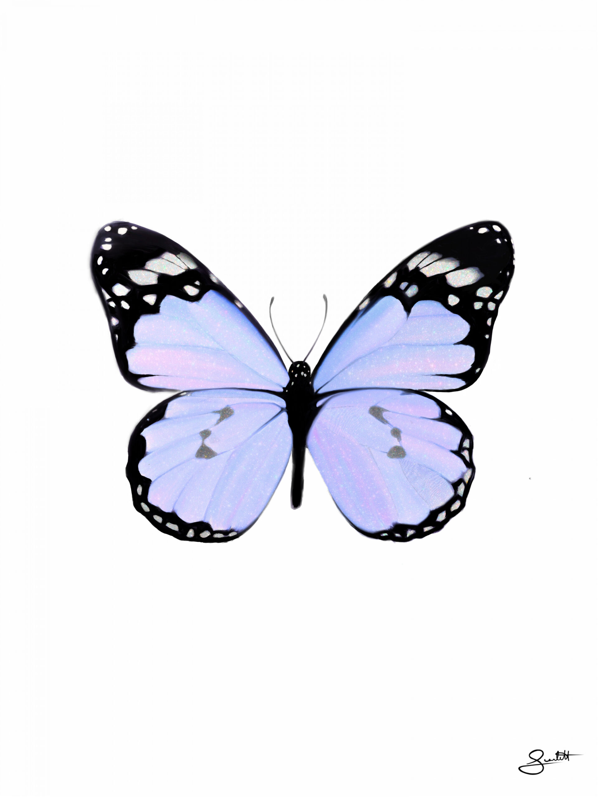 lilac butterfly  Butterfly drawing, Butterfly art print