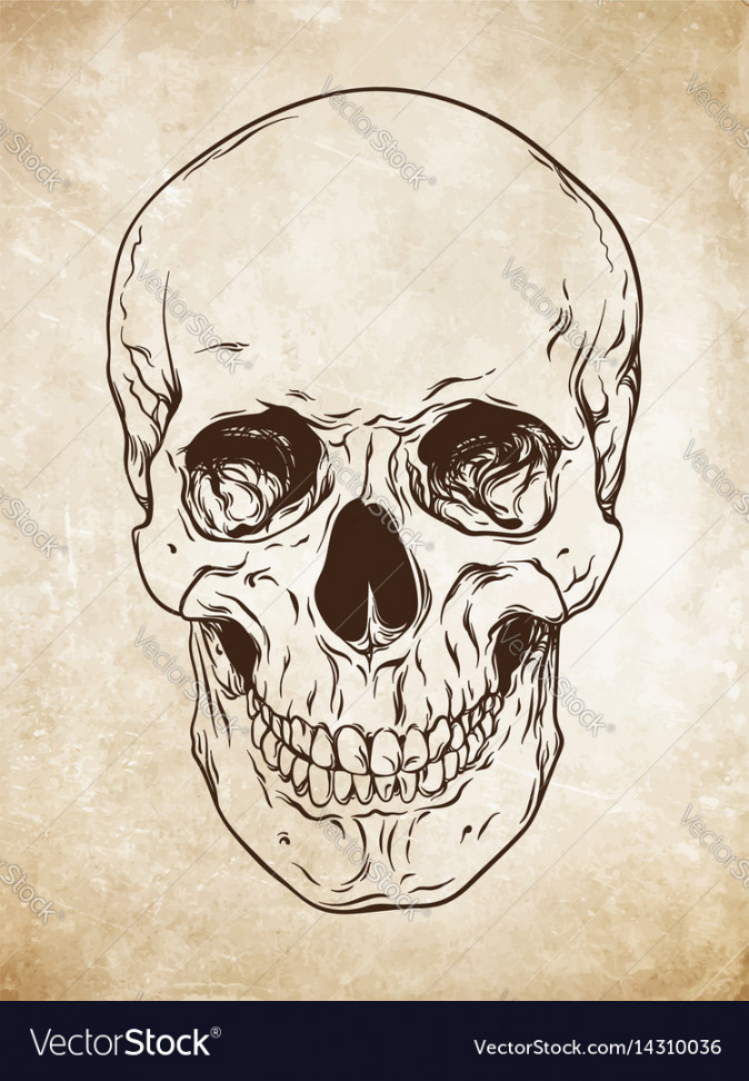 Line art human skull grunge background Royalty Free Vector