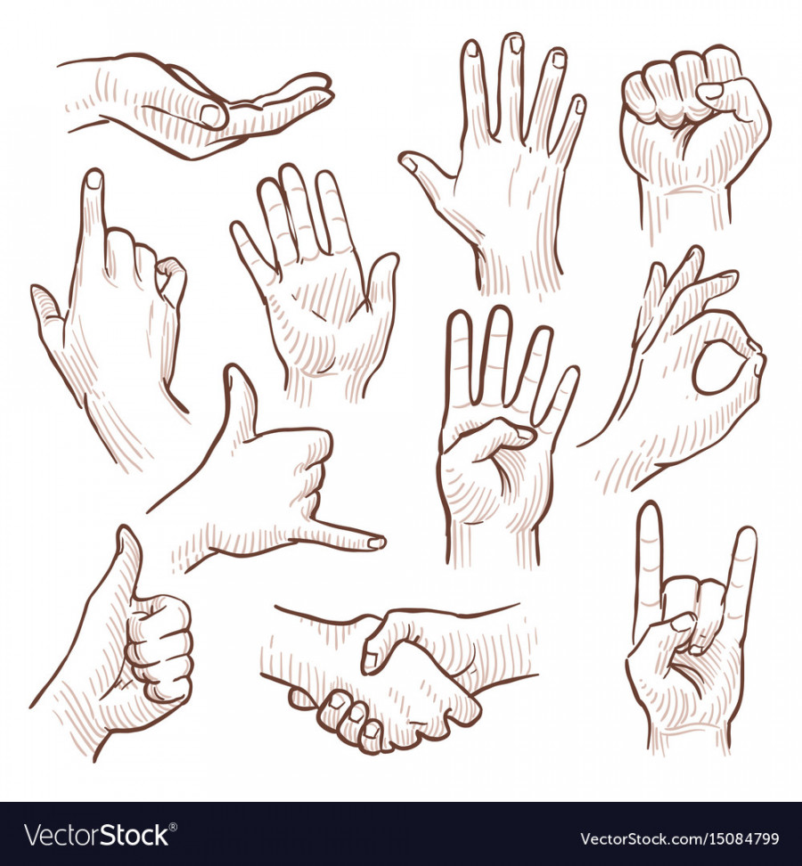 Line drawing doodle hands showing common signs Vector Image