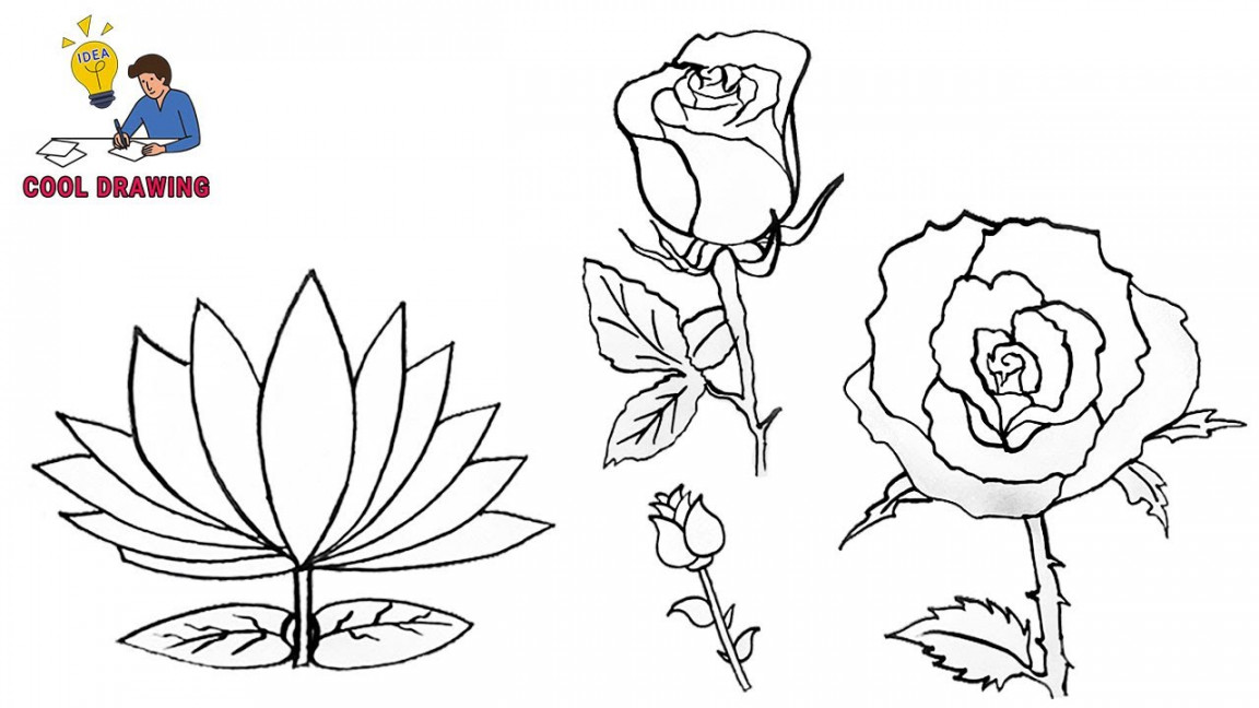 Line Drawing Flowers  Easy Flower Drawing  Simple Line Drawing Ideas   Drawing Flowers