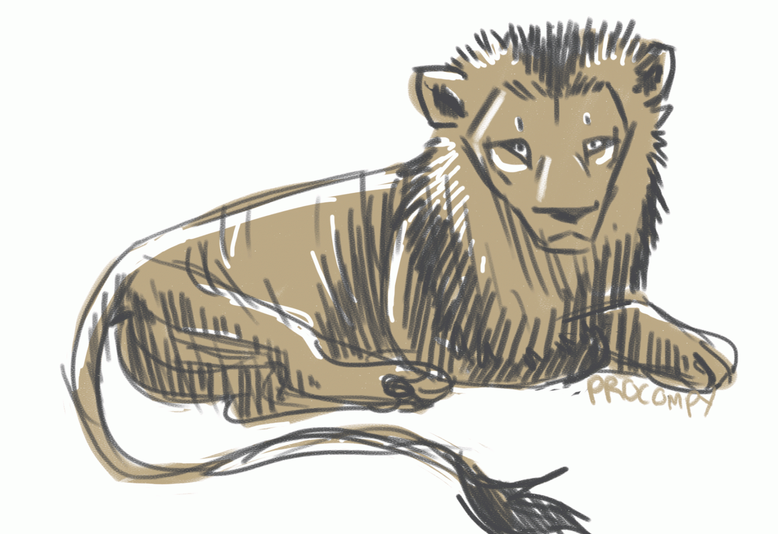 lion sketch (gif) by Paleokat on DeviantArt