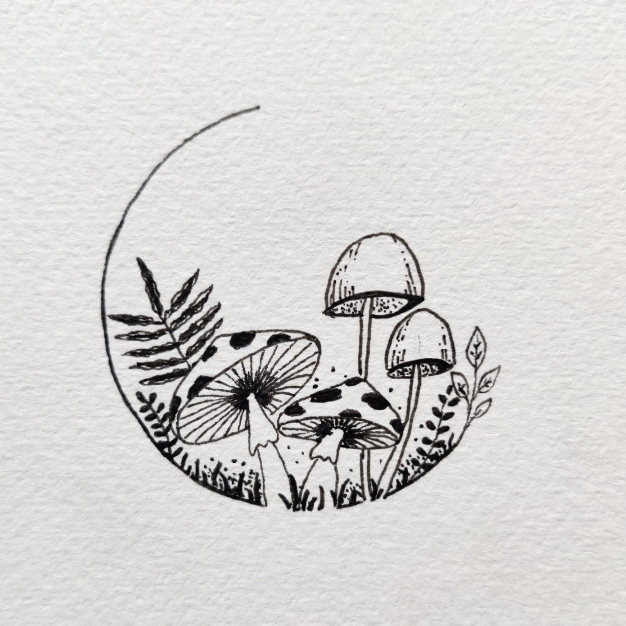 Little Mushroom drawing  Mushroom tattoos, Mushroom drawing