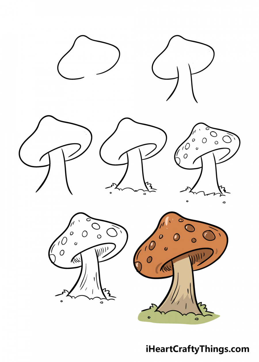 Mushroom Drawing - How To Draw A Mushroom Step By Step