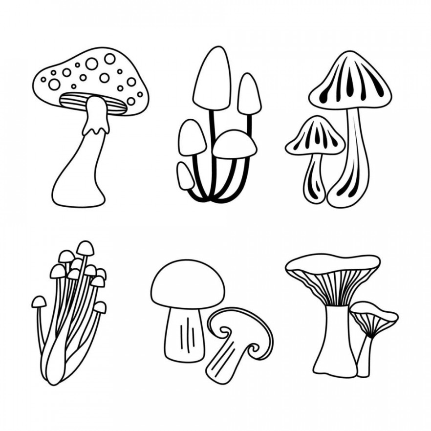 Mushroom Line Vector Art, Icons, and Graphics for Free Download