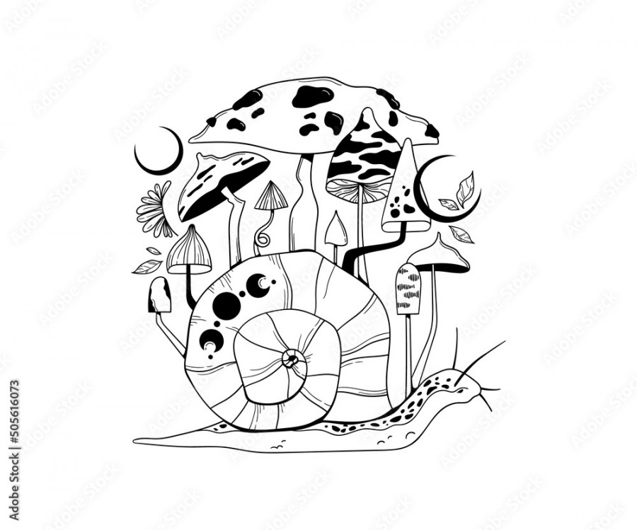 Mystical snail and magic mushrooms isolated clip art, hand drawn