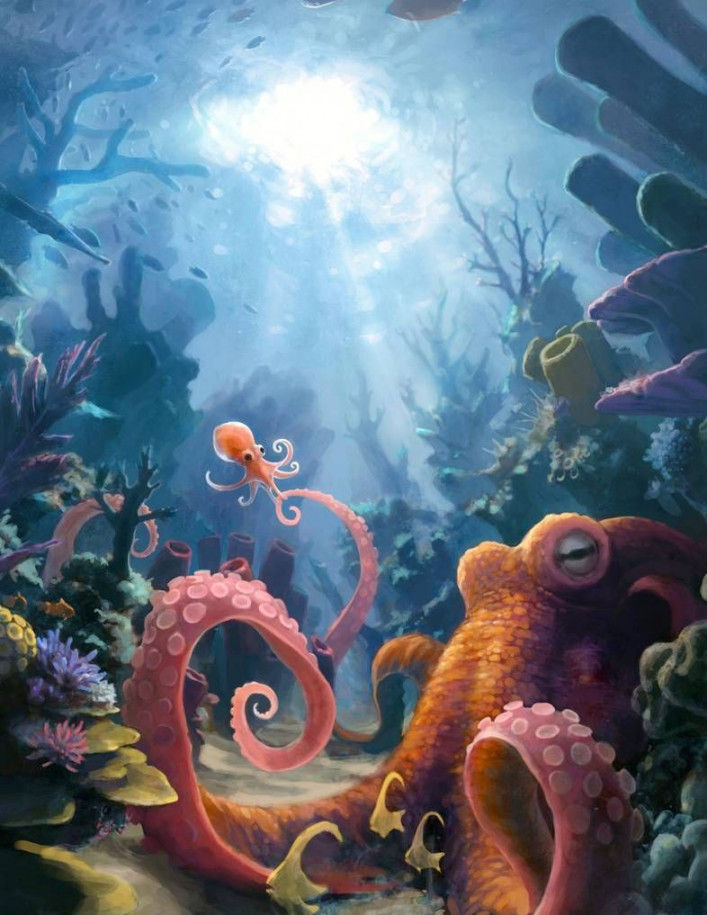 Octopus and Reef by ConejoBlanco on DeviantArt  Underwater art