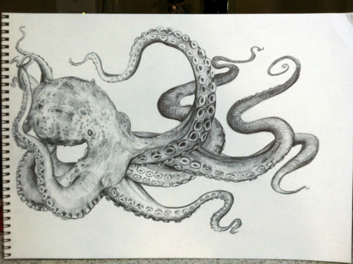 Octopus drawing  Octopus drawing, Octopus sketch, Octopus tattoos