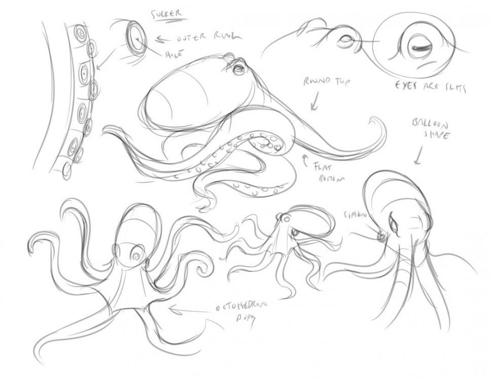 octopus drawing tutorial - Pesquisa Google  Octopus drawing