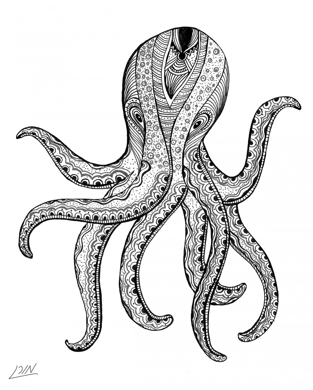 Octopus Illustration on Behance