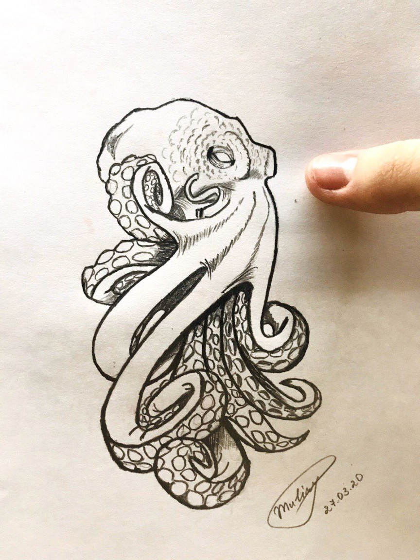 Octopus  Octopus drawing, Octopus sketch, Octopus artwork