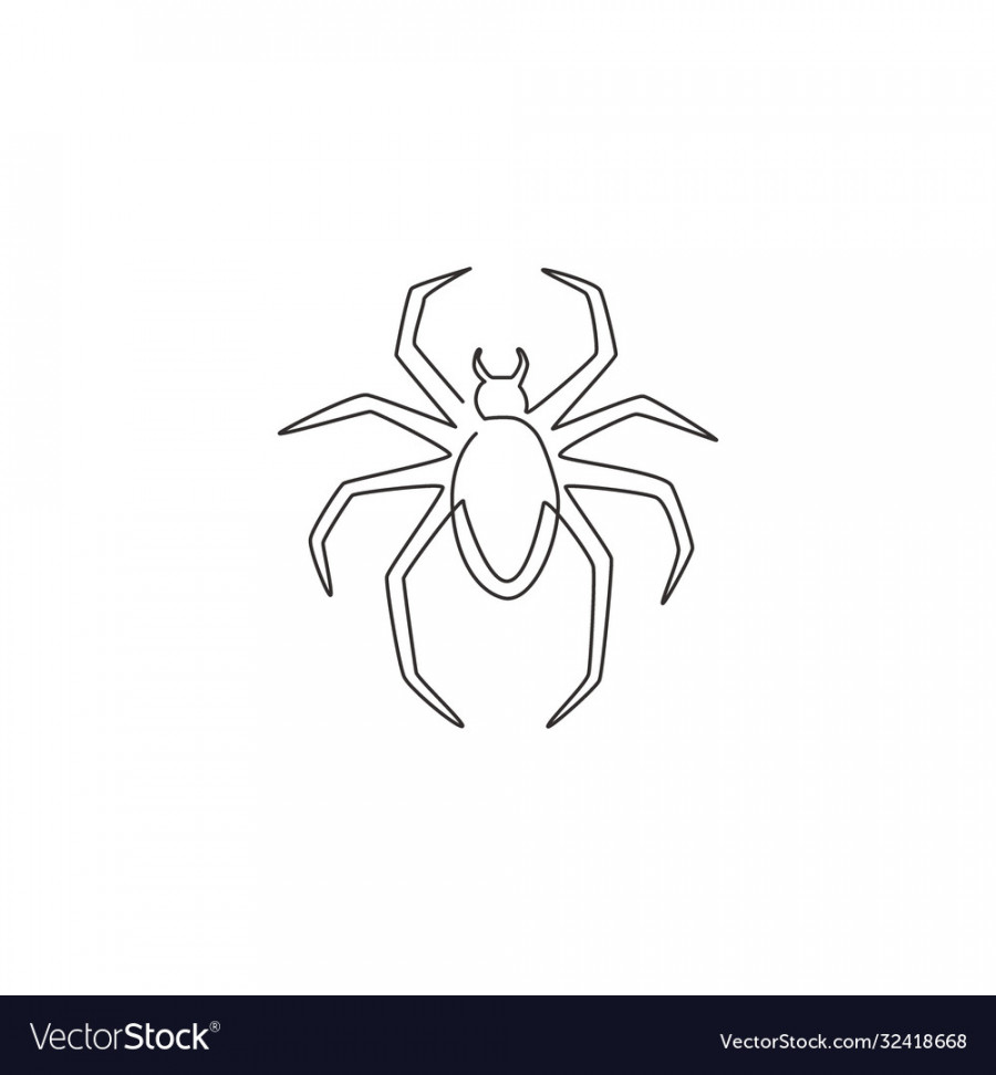 One continuous line drawing spider spreading Vector Image