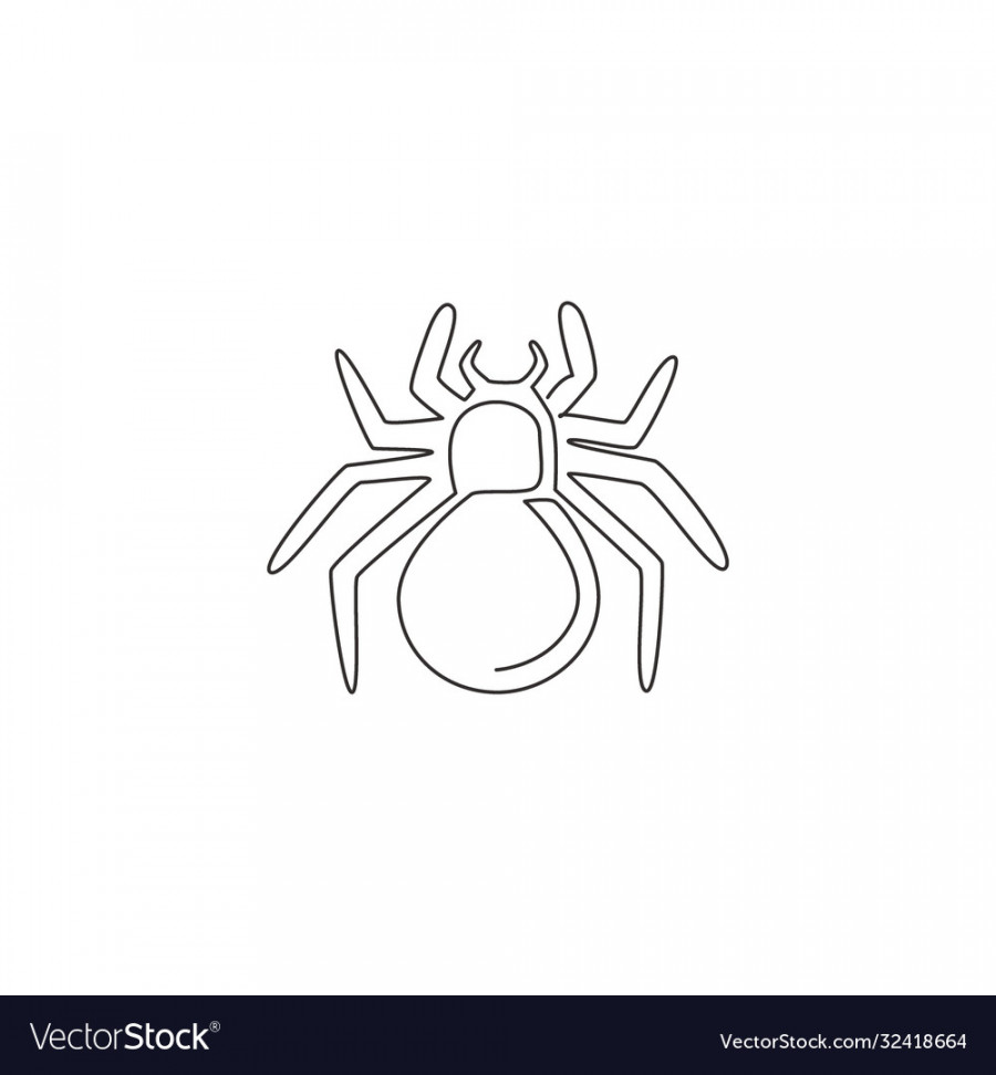 One single line drawing dangerous spider Vector Image