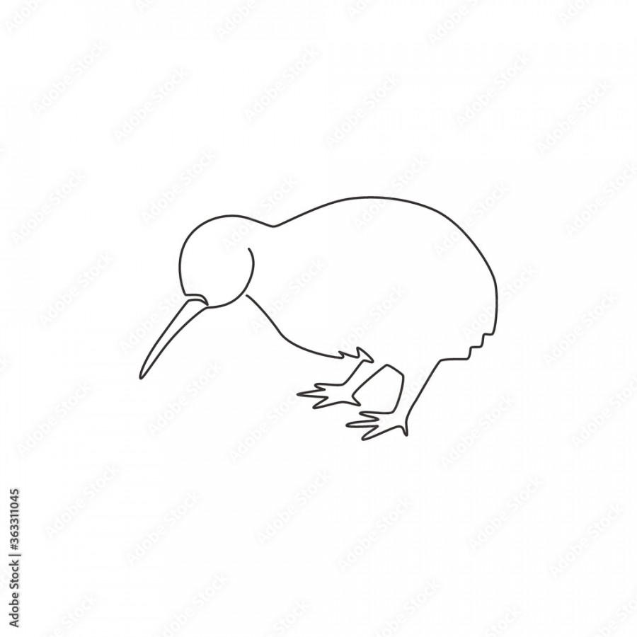 One single line drawing of cute kiwi animal for company business